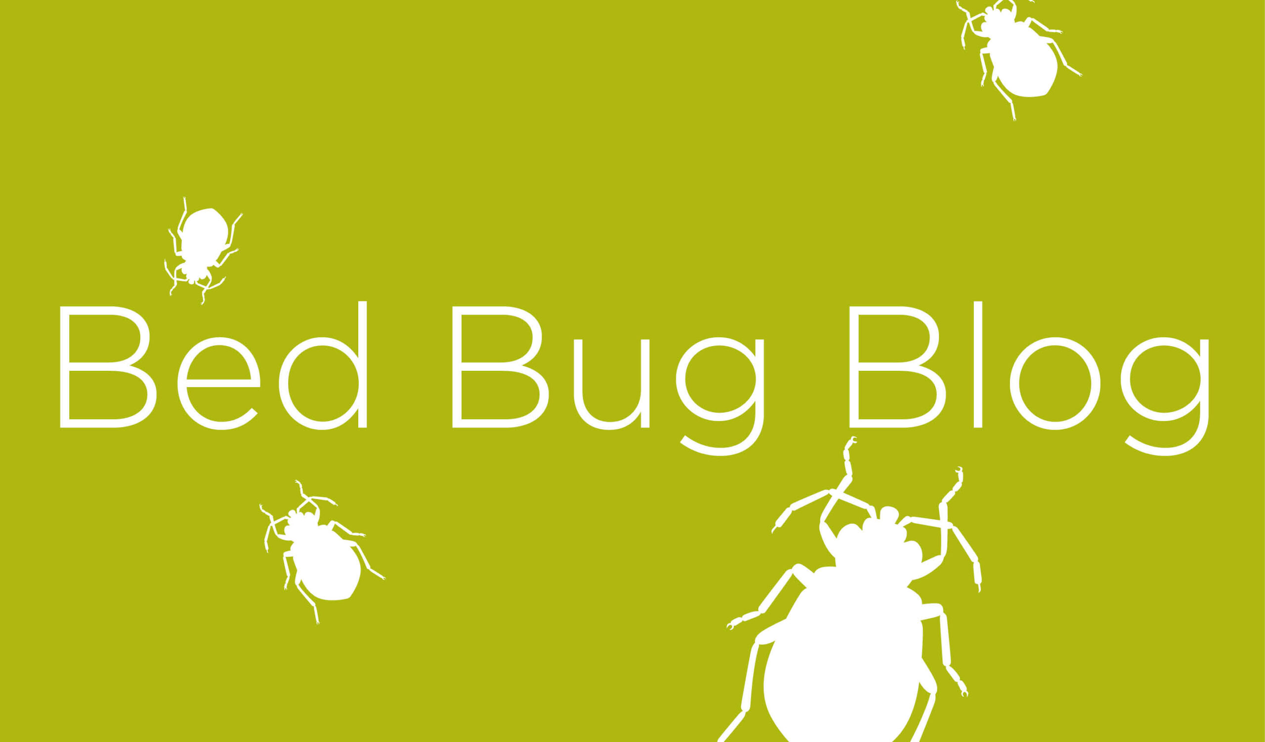 bed-bug-blog